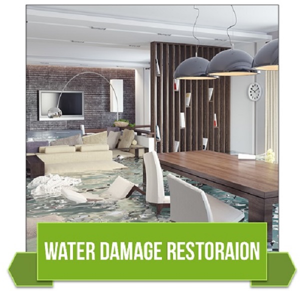 Water Flood Cleanup Service